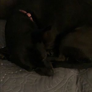 Meet your Posher, Rosemary